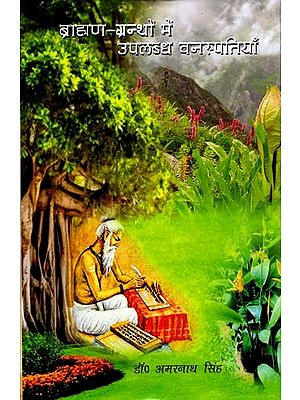ब्राह्मण-ग्रन्थों में उपलब्ध वनस्पतियाँ: Brahman Granthon Mein Upalabdh Vanaspatiyan
