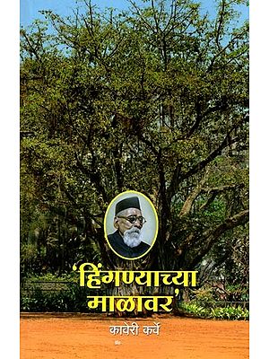 हिंगण्याच्या माळावर: Hinganyacya Malavara (Marathi)