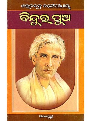ବିନ୍ଦୁର ପୁଅ: Bindura Pua in Oriya (Novel)