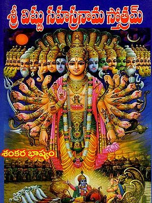 శ్రీ విష్ణు సహస్రనామ స్తోత్రమ్శం: కరభాష్యం- Sri Vishnu Sahasra Nama Sthotram: Sankara Bhasyam (Telugu)