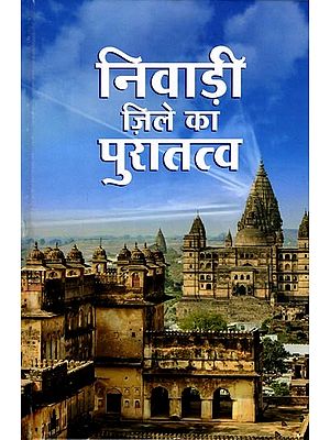 निवाड़ी जिले का पुरातत्व (ग्रामवार पुरातत्वीय सर्वेक्षण के आधार पर): Archaeology of Niwari District (Based on Village Wise Archaeological Survey)