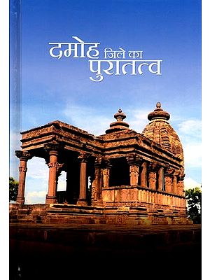 दमोह जिले का पुरातत्व (ग्रामवार सर्वेक्षण पर आधारित): Archaeology of Damoh District (Based on Village Wise Survey)