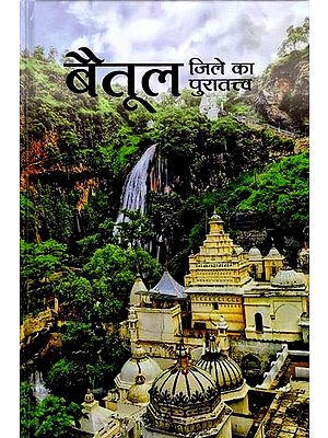 बैतूल जिले का पुरातत्त्व (सर्वेक्षण प्रतिवेदन के आधार पर): Archaeology of Betul District (Based on Survey Report)