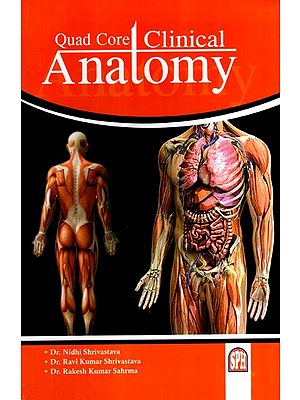 Quad Core Clinical Anatomy