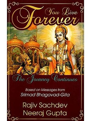 You Live Forever: The Journey Continues Based on Messages from Srimad Bhagavad-Gita
