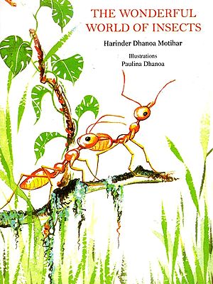 The Wonderful World of Insects (Children Stories)