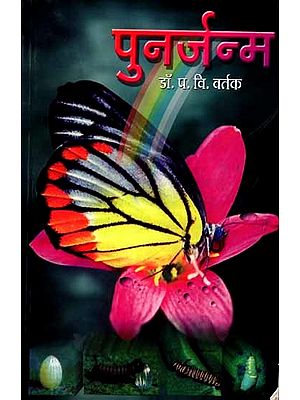 पुनर्जन्म: Reincarnation (Marathi)