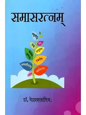 Sanskrit Grammar (Vyakaran) Books