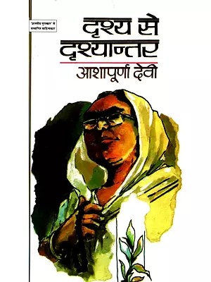 दृश्य से दृश्यान्तर: Drishya Se Drishyantar (Hindi Novel)