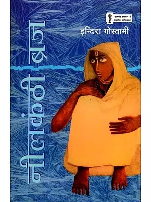 नीलकंठी ब्रज- Neelkanthi Braj (Novel)
