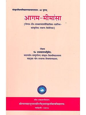 आगम मीमांसा: Agam Mimamsa