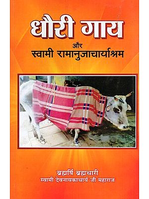 धौरी गाय और स्वामी रामानुजाचार्याश्रम- Dhauri Gay Aur Swami Ramanujacharyashram