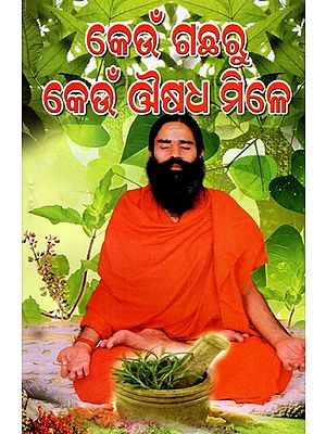 କେଉଁ ଗଛରୁ କେଉଁ ଔଷଧ ମିଳେ: Keun Gachharu Keun Ausadha Mile (Oriya)