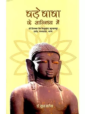 बड़े बाबा के सान्निध्य में: In the Presence of Bade Baba