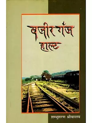 वजीरगंज हाल्ट: Wazirganj Halt (Social Novel)