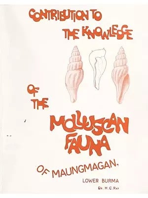 Contribution to the Knowledge of the Molluscan Fauna of Maungmagan, Lower Burma