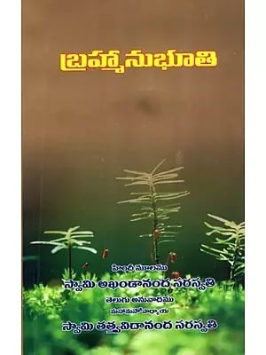 బ్రహ్మానుభూతి: Brahmanubhuti (Telugu)