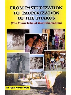 From Pasturization to Pauperization of the Tharus (The Tharu Tribe of West Champaran)