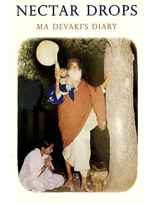 அமுதத் துளிகள்: Nectar Drops (Ma Devaki's Diary)