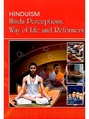 Hinduism: Hindu Perceptions, Way of Life and Reformers