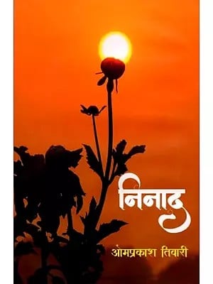 निनाद (उपन्यास): Ninad (Novel)