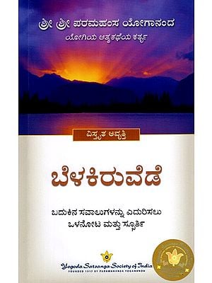 ಬೆಳಕಿರುವೆಡೆ: Where There's Light- Insight and Inspiration for Facing Life's Challenges (Kannada)