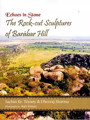Echoes in Stone: The Rock-Cut Sculptures of Barabar Hill