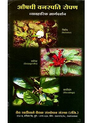 औषधी वनस्पति रोपण- व्यावहारिक मार्गदर्शन: Planting Medicinal Plants- Practical Guidance