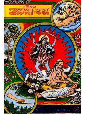 রাক্ষসী তন্ত্র: Rakshasi Tantra (Bengali)