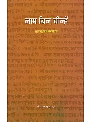 नाम बिन चीन्हें- संत जूड़ीराम की वाणी: Naam Bin Chinhen Sant Judeeram Ki Vaani