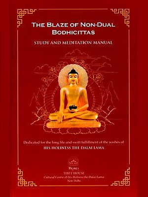 The Blaze of Non-Dual Bodhicittas: A Manual for Study, Reflection and Meditation on Bodhicitta and the Wisdom of Emptiness
