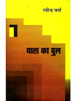घास का पुल: Ghaas Ka Pul (Novel)