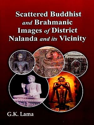 Scattered Buddhist and Brahmanic Images of District Nalanda and Its Vicinity