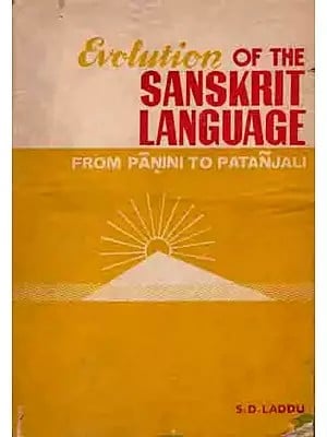 Evolution of the Sanskrit Language from Panini to Patanjali (An Old and Rare Book) Only 1 Quantity Available