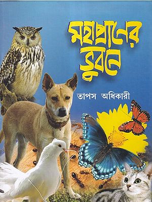 মহাপ্রাণের ভুবনে- The Wider World (Bengali)