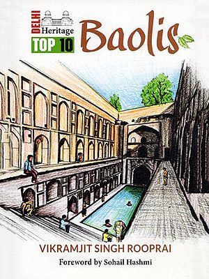 Delhi Heritage Top 10: Baolis