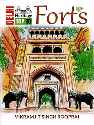 Delhi Heritage Top 10: Forts