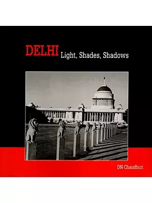 Delhi Light, Shades, Shadows