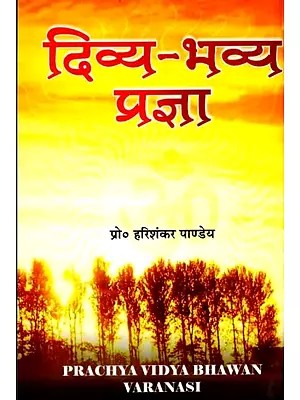 दिव्य-भव्य प्रज्ञा: Divya-Bhavya Pragya