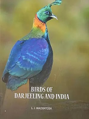 Birds of Darjeeling and India
