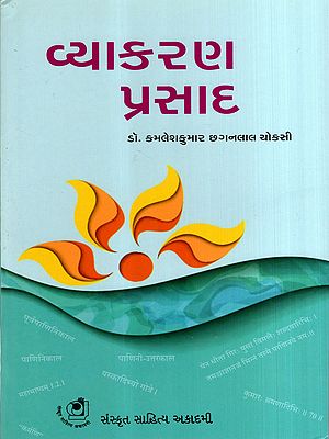 વ્યાકરણ પ્રસાદ: Vyakaran Prasad (Gujarati)