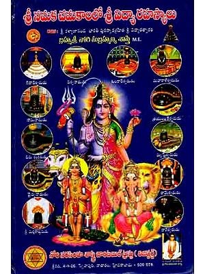 శ్రీ సమక చమకాలలో శ్రీ విద్యా రహస్యాలు: Sri Namaka Chamakalalo Sri Vidya Rahasyalu (Telugu)