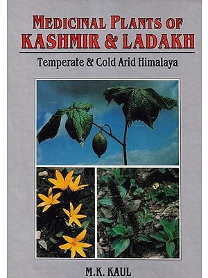 Medicinal Plants of Kashmir & Ladakh (Temperate & Cold Arid Himalaya)