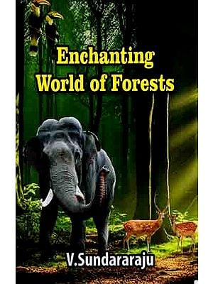 Enchanting World of Forests