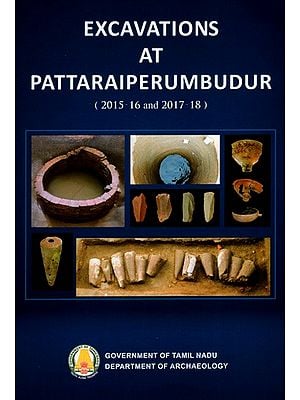 Excavations at Pattaraiperumbudur (2015-16 and 2017-18)