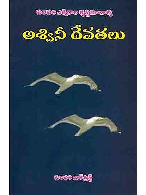 అశ్వినీ దేవతలు: Ashwini Deities (Essay Bharatamandali Ashwinula Stotra)