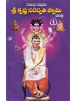 సమర్ధ సద్గురు శ్రీ కృష్ణ సరస్వతి స్వామి- History of Samartha Sadguru Srikrishna Saraswati Swami (Telugu)