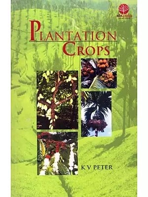 Plantation Crops