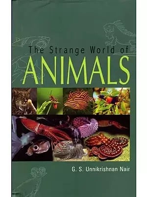 The Strange World of Animals