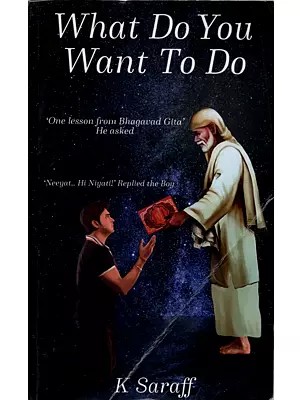 What Do You Want to Do: One Lesson from Bhagavad Gita He Asked Neeyat.. Hi Niyati!' Replied the Boy